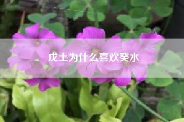 癸水 戊土|戊土和癸水是命中注定，两人相遇喜运连连